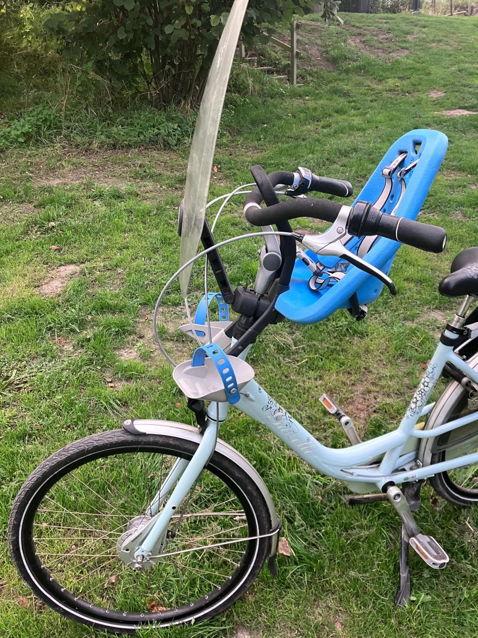 Gazelle Bloom moederfiets met twee Yepp stoeltjes