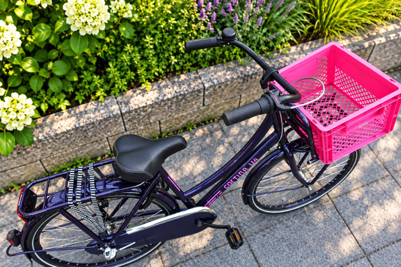 🚲 Cortina U4 Transportfiets 26 inch – Stoer, Sterk & Compleet