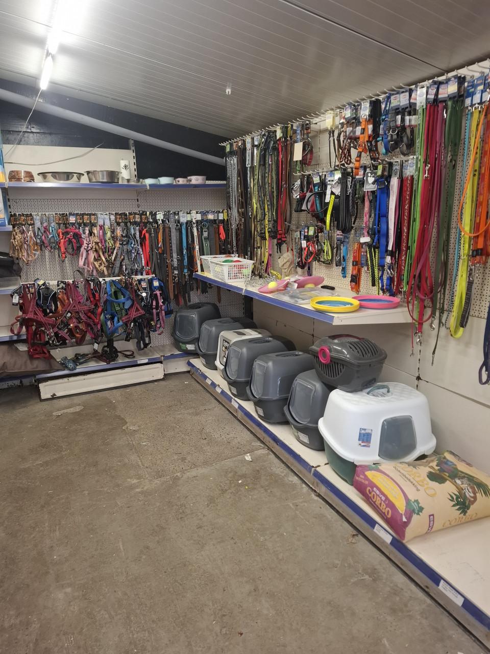 Deze week nog 50% KORTING OP ALLE KATTENBAKKEN