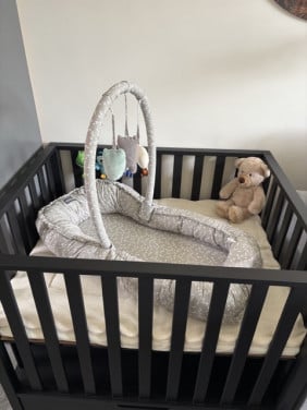 Babynestje