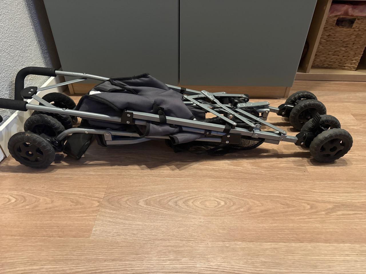 Buggy/kinderwagen