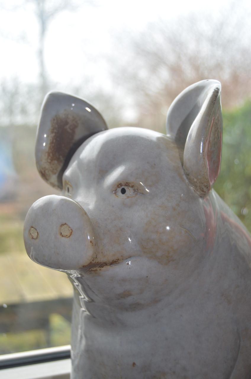 Leuk keramiek varken in prima staat!