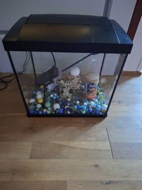 Goudvis / Guppen aquarium