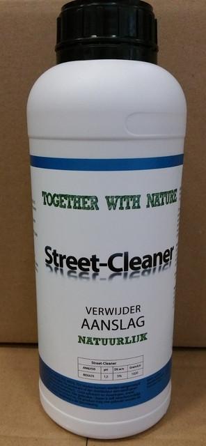 Nature glazen regenmeter op steel