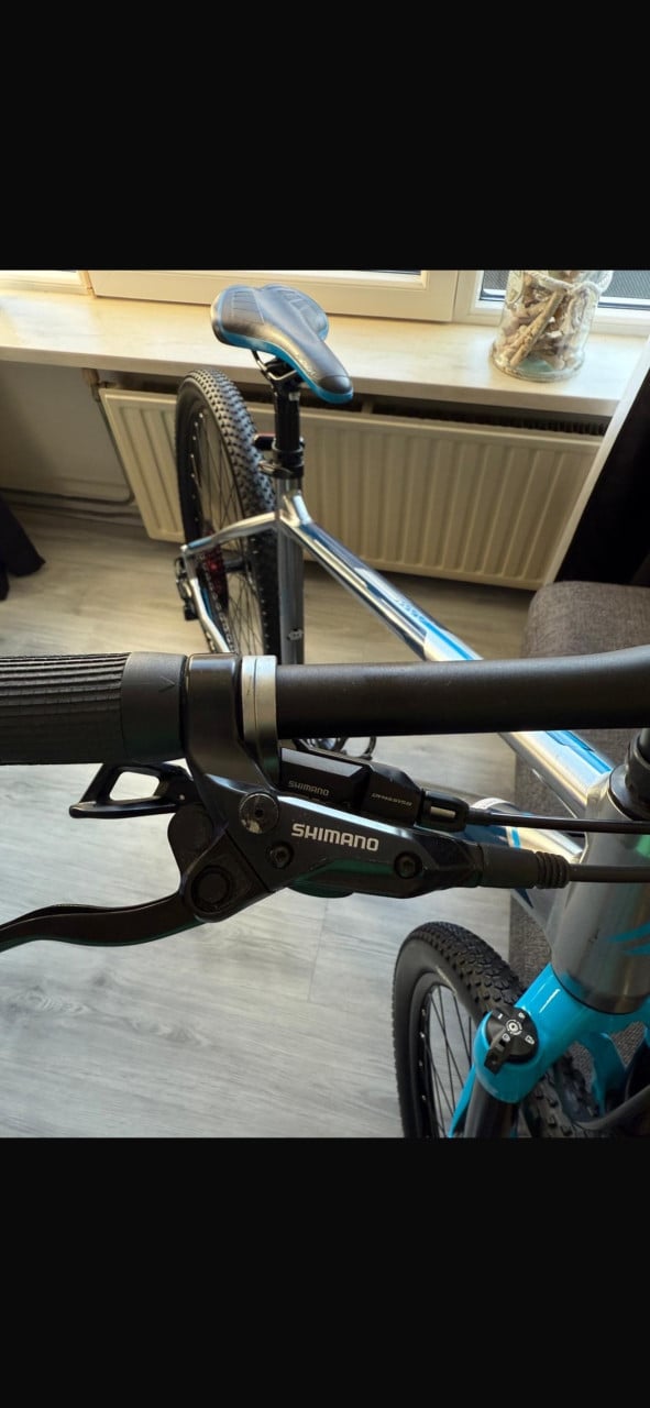 Merida Big Nine 600 XL