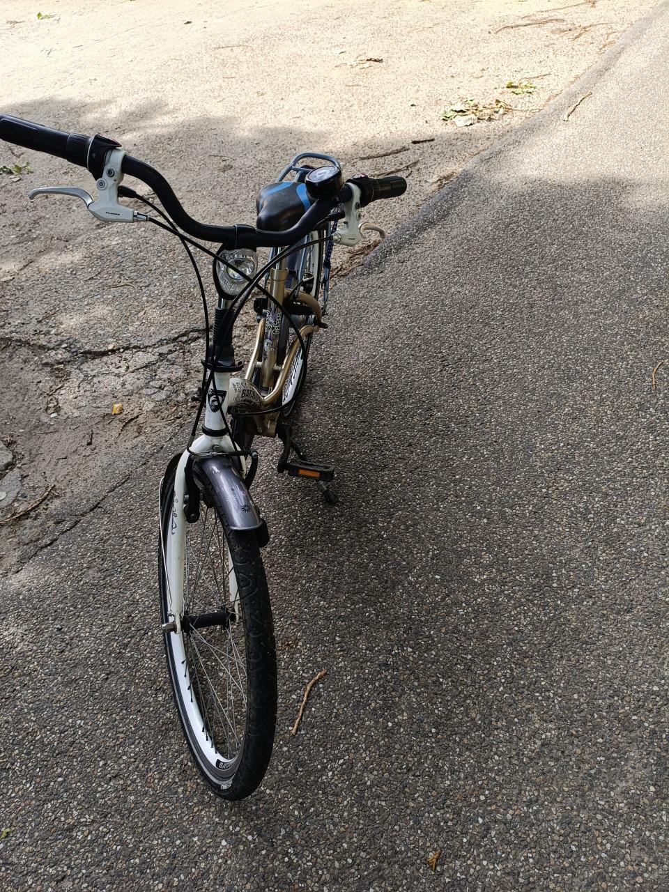 Meisjes fiets