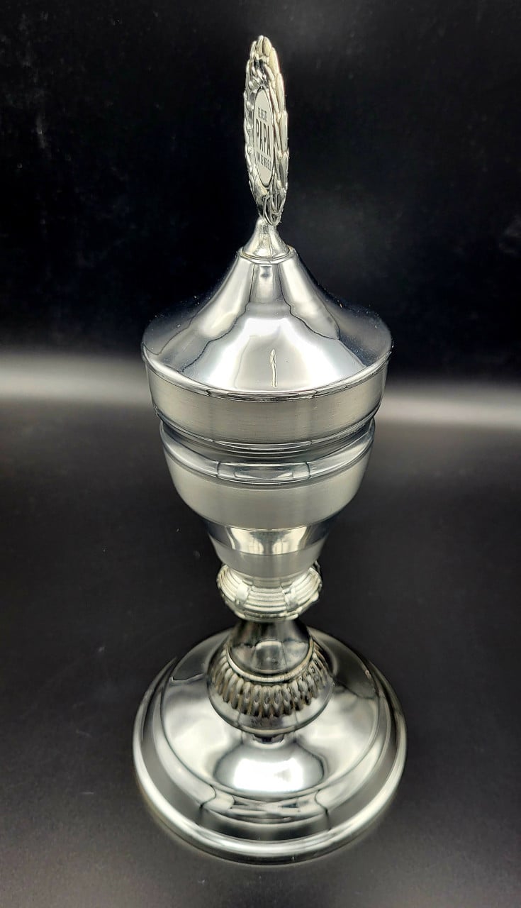 Vaderdag kado Tip, eenVaderdag trofee -- leuk en mooi origineel kado --
