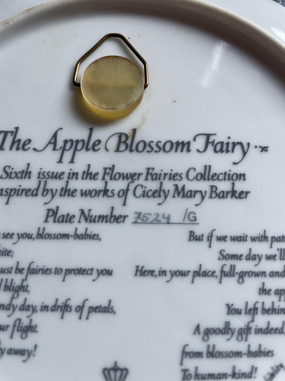 Wandborden 4 stuks flower fairies collection