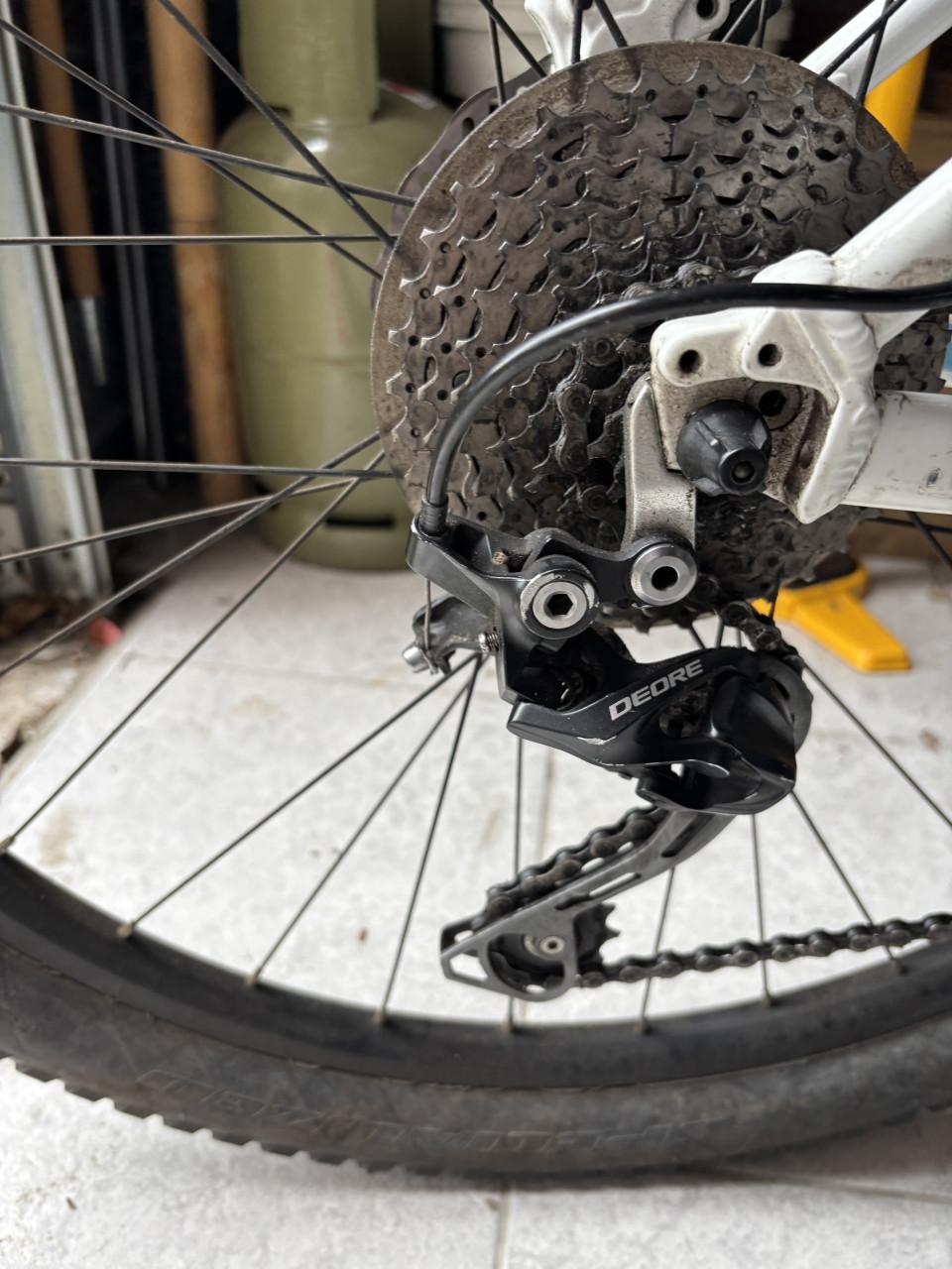 Dames mountainbike Giant Liv temp 2