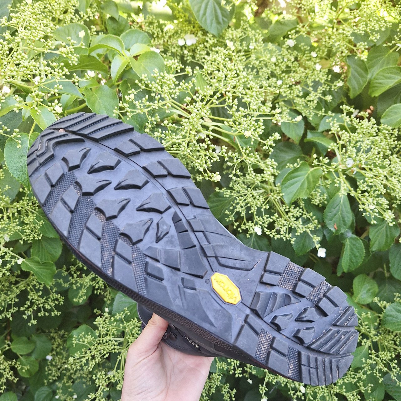 Lowa - Women's Mauria Evo GTX - Wandelschoenen