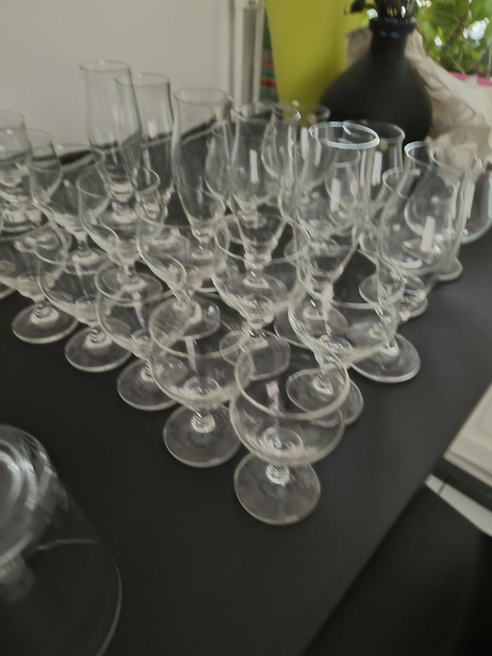 Zweis Scott glasservies Vinted