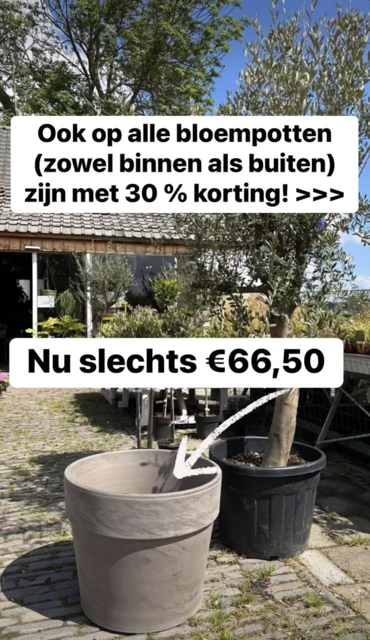 GOEDKOPE BUITEN+ BINNEN POTTEN