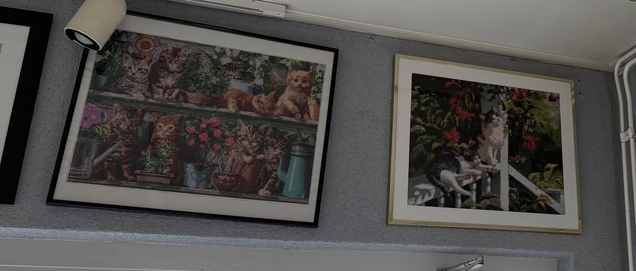 Borduur werkjes / daimantpainting ingelijst