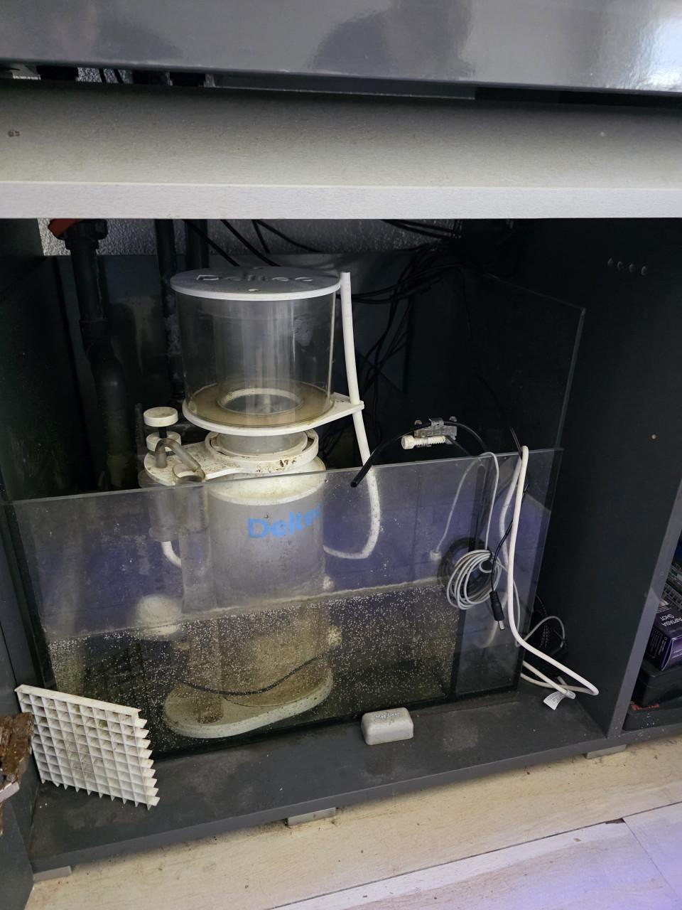 Mooi zeewater Aquarium