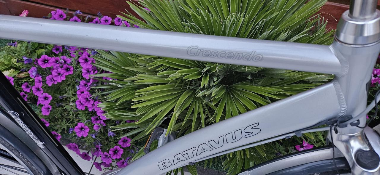 Batavus  Crescendo Herenfiets