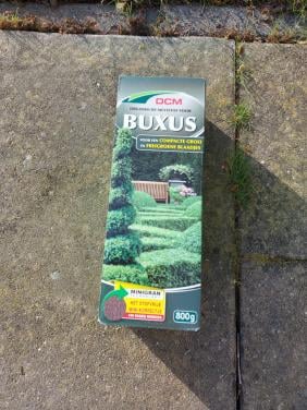 Buxus bemesting
