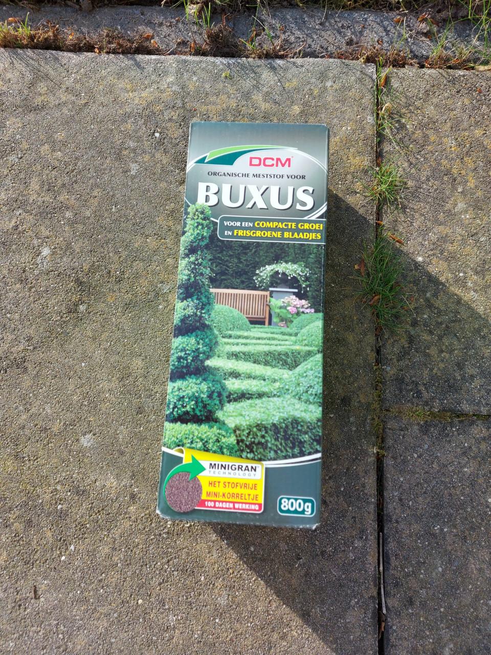 Buxus bemesting