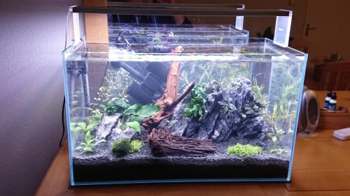 60P aquarium compleet met CO2