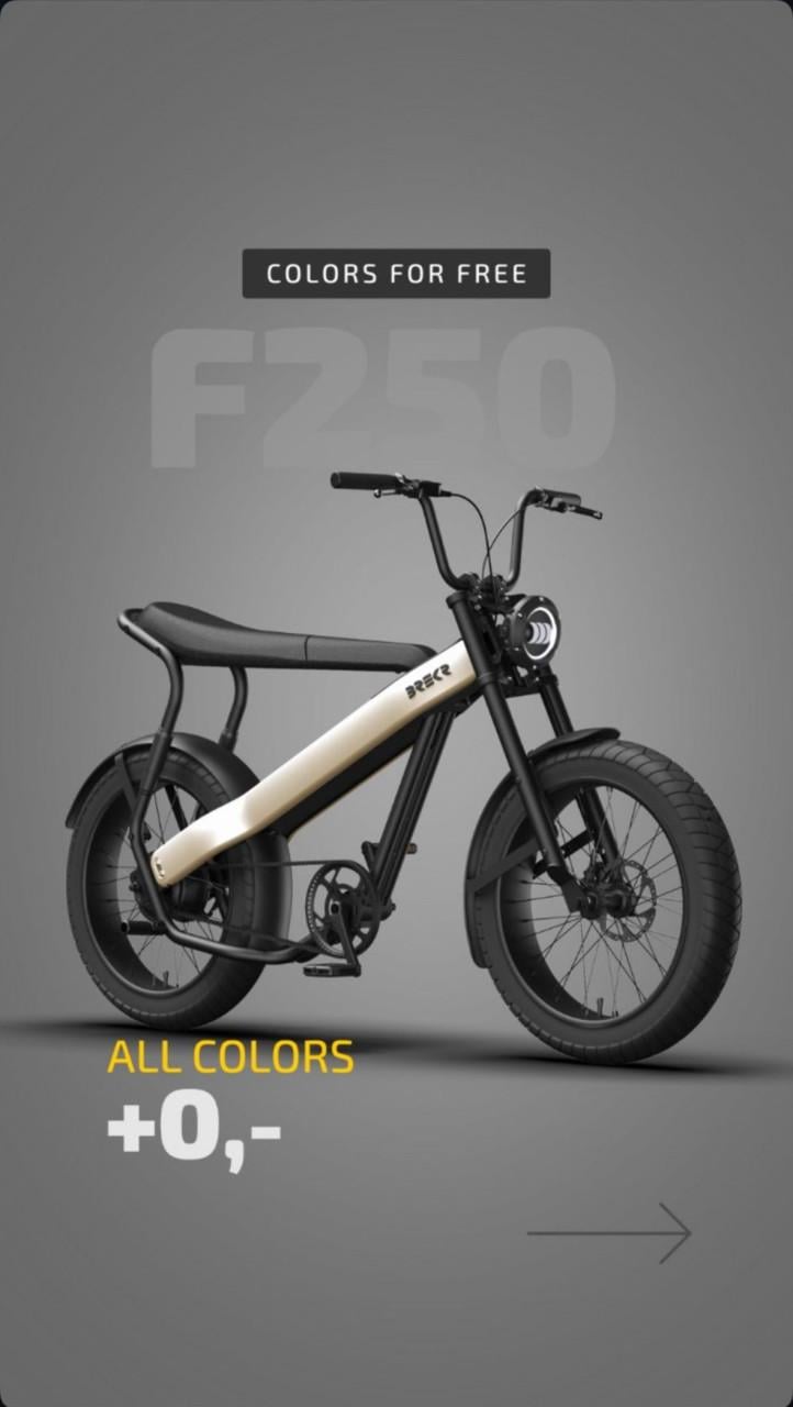 BREKR F250 stoere E-BIKE