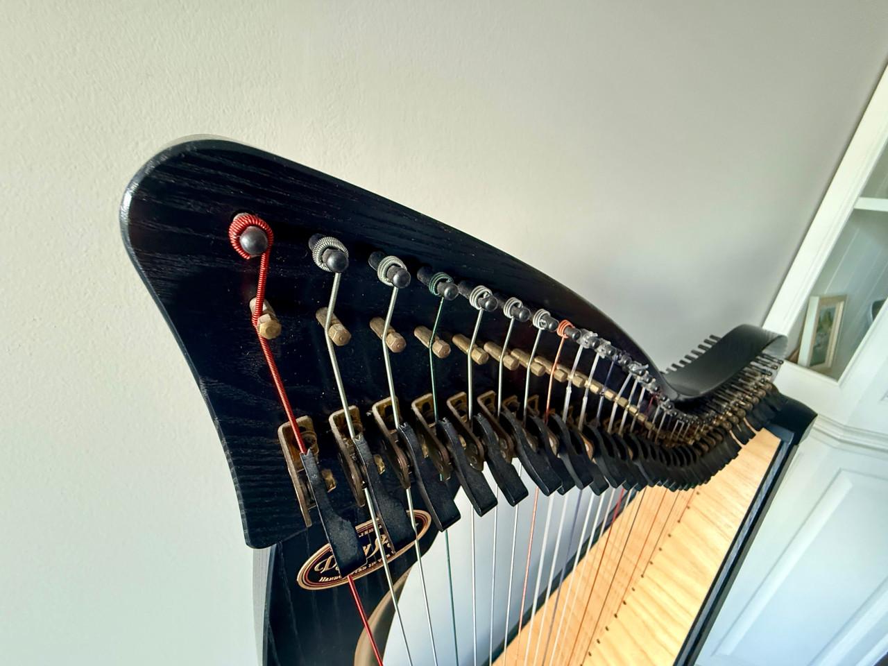 Harp Dusty Strings Ravenna 34