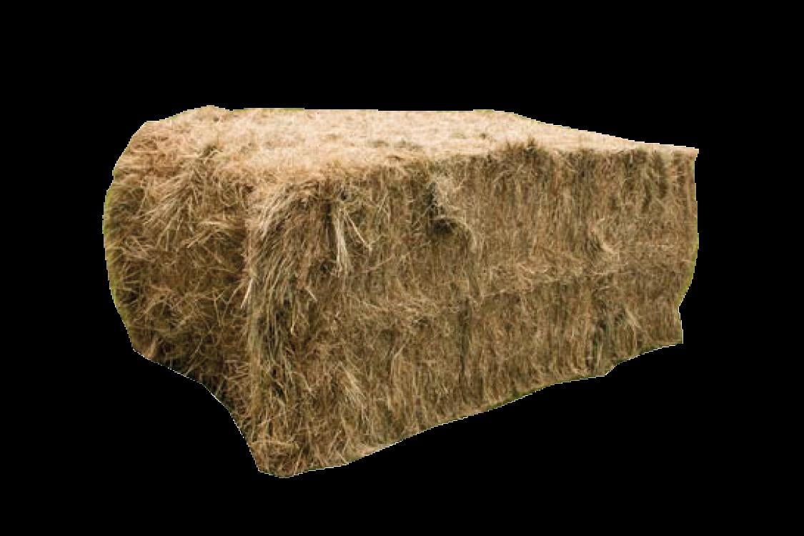 Weidehooi grote en kleine balen gratis thuis bezorgd!