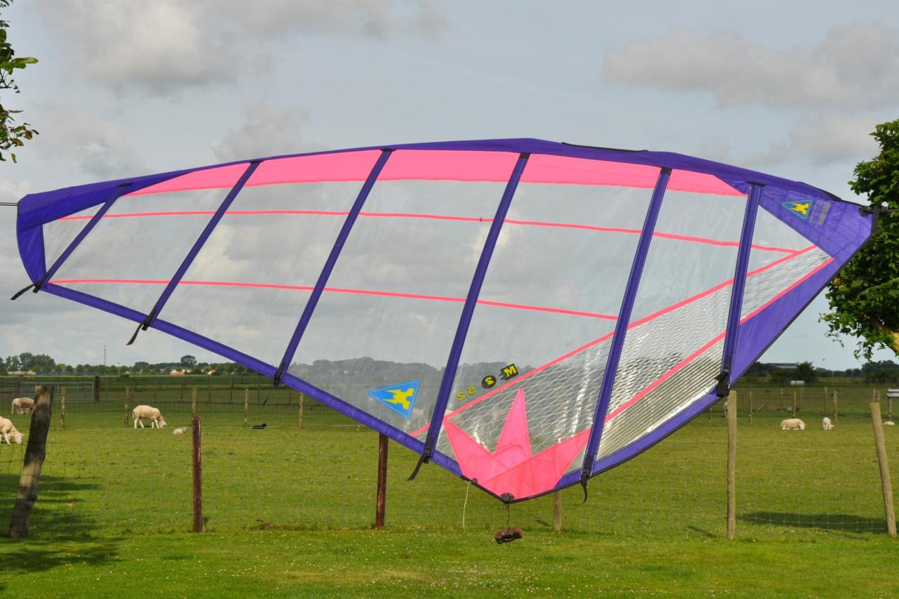 Fanatic Bee 317 met zwaard  - 195L zeer complete set
