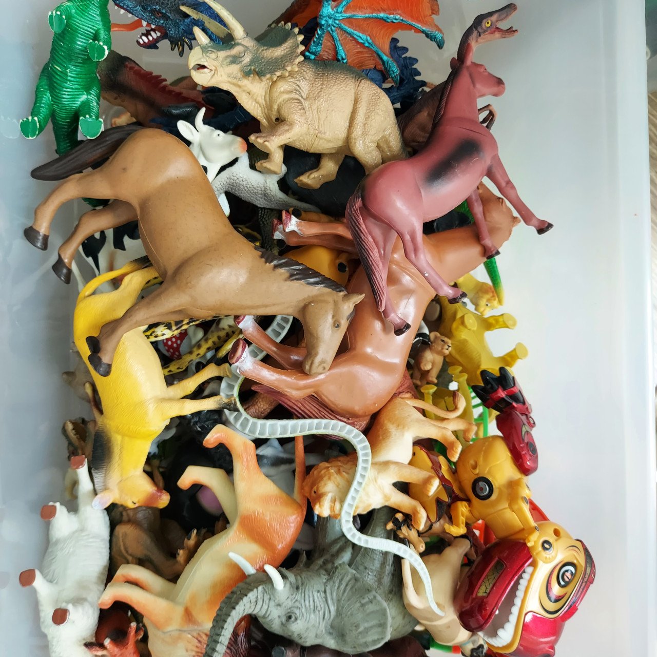 Bak met dieren