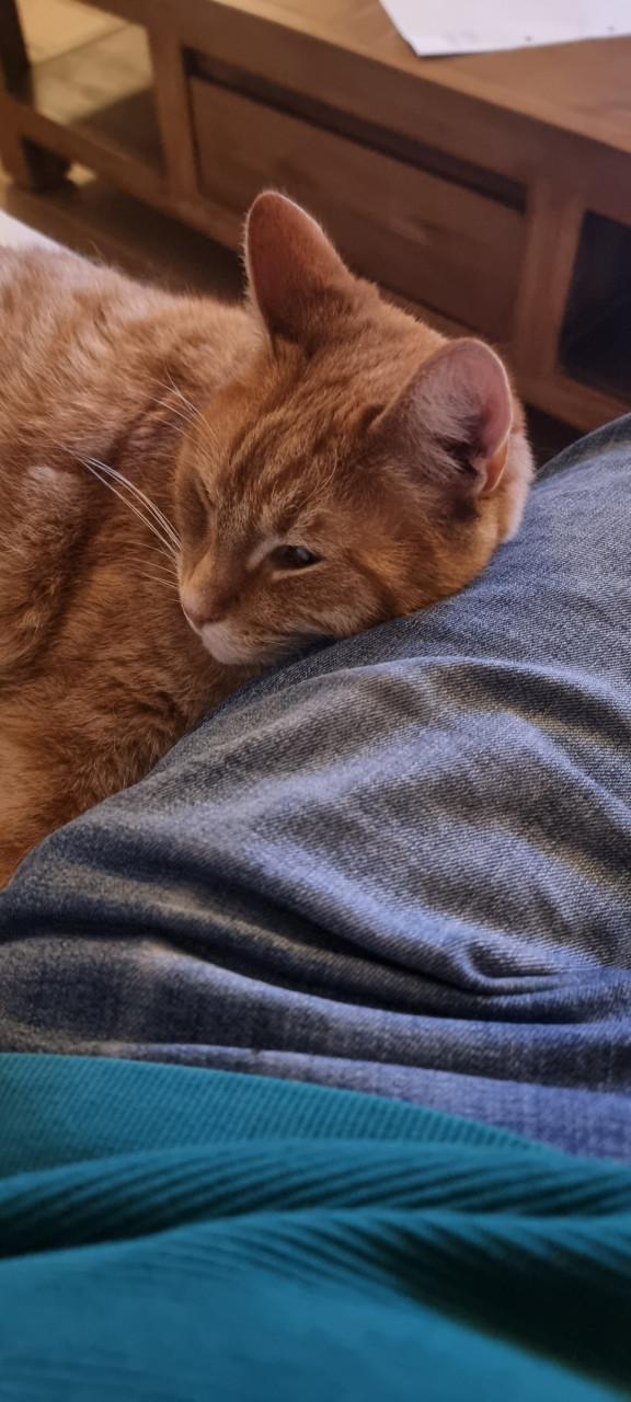 Deze twee broertjes zoeken een leuk nieuw onderkomen