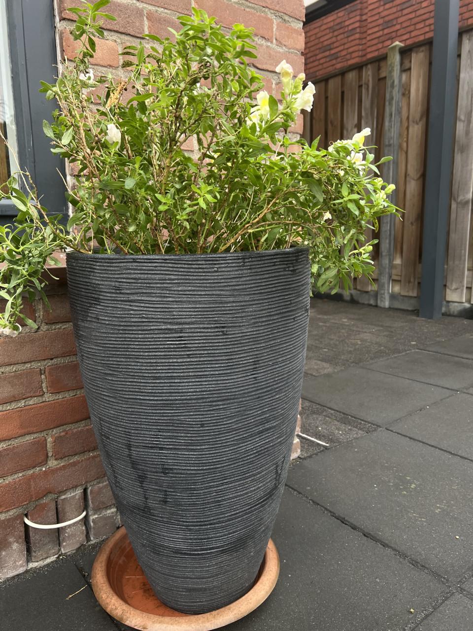 Capi Europe bloempot Waste Rib antraciet D 46 H 60 cm