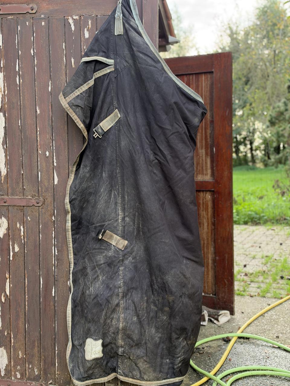 Paardendekens