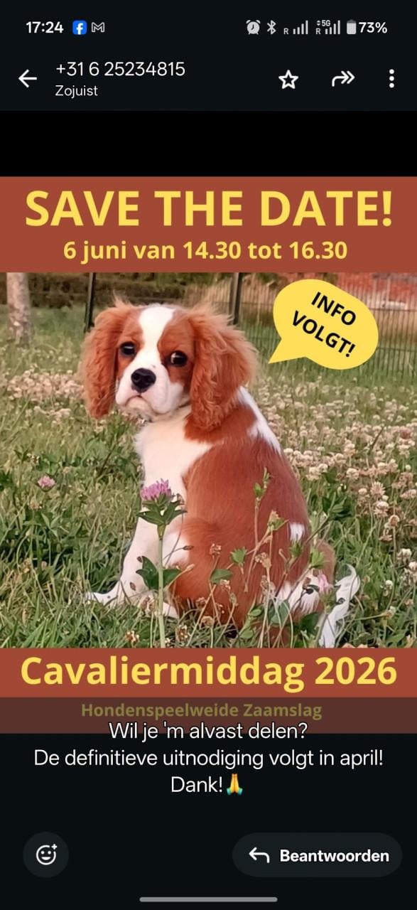 Cavalierdag Zaamslag 6 juni 14.30-16.30