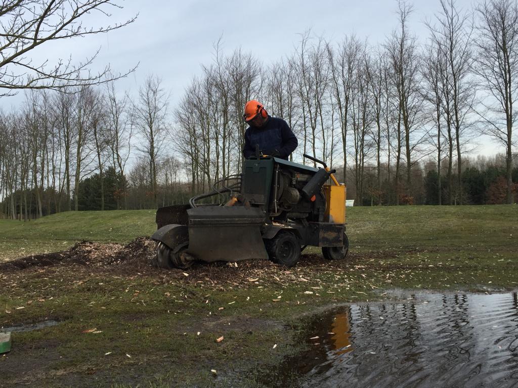 Een stronk welke weg gefreesd moet worden