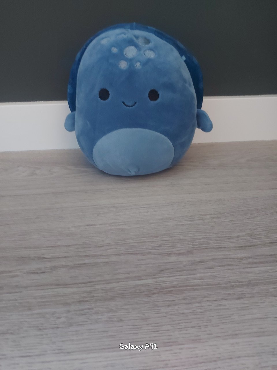 Squishmallows medium size
