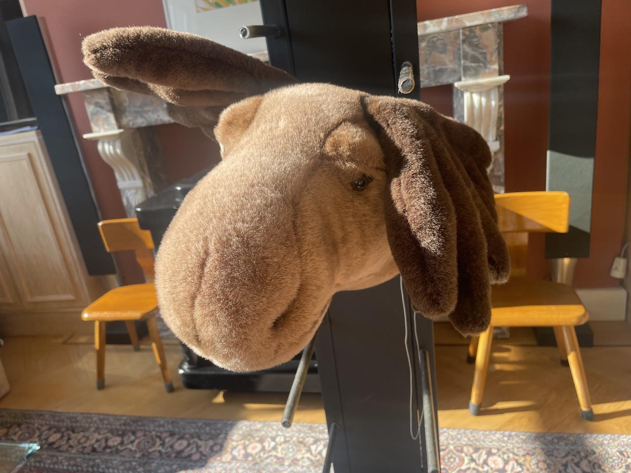 Eland kop wanddecoratie