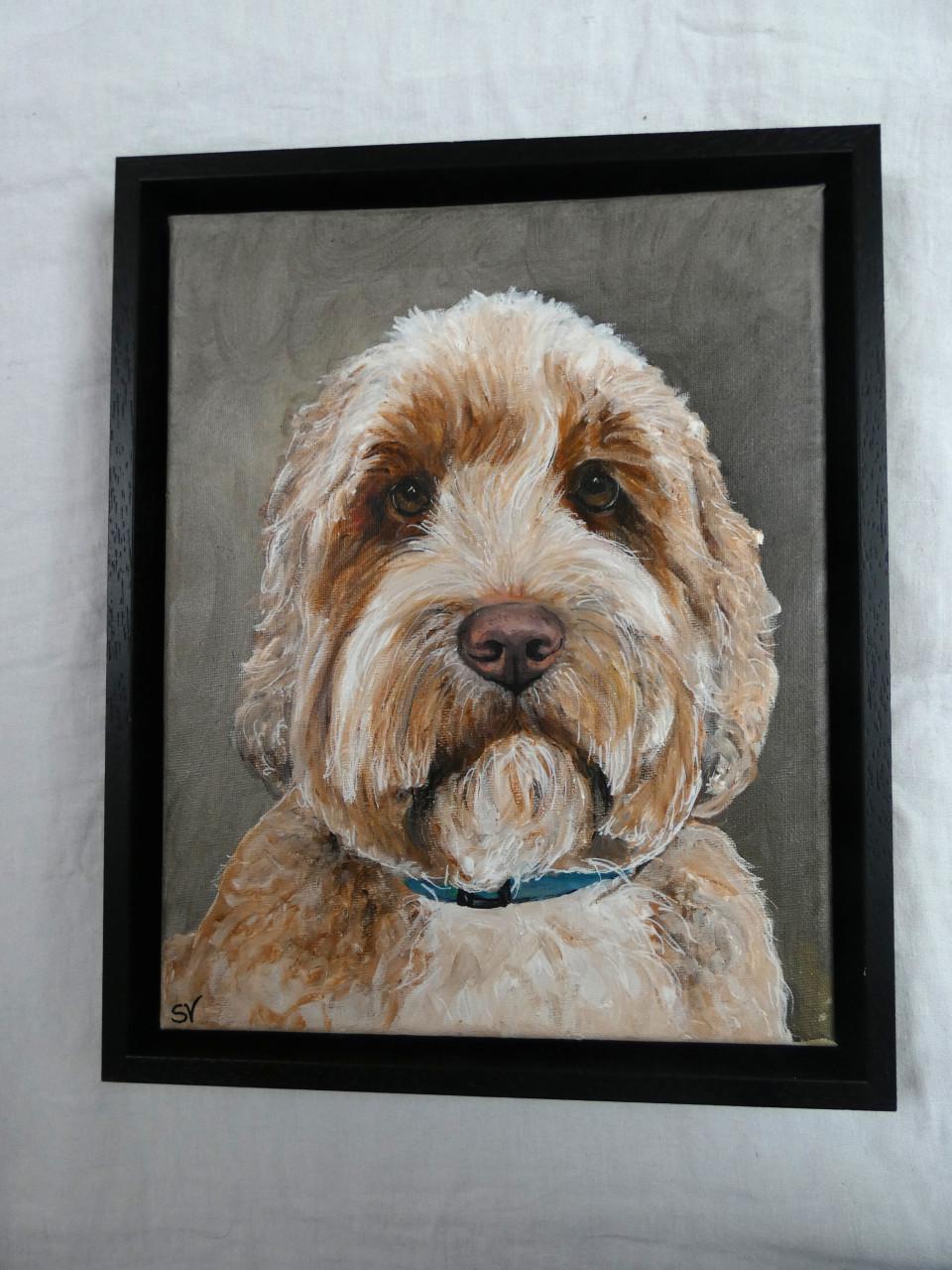 Portret van je hond - vanaf 75 euro