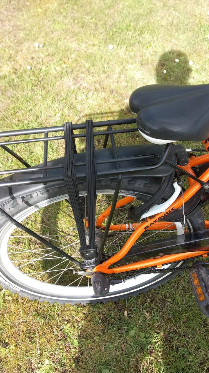 Batavus Snake 22 inch