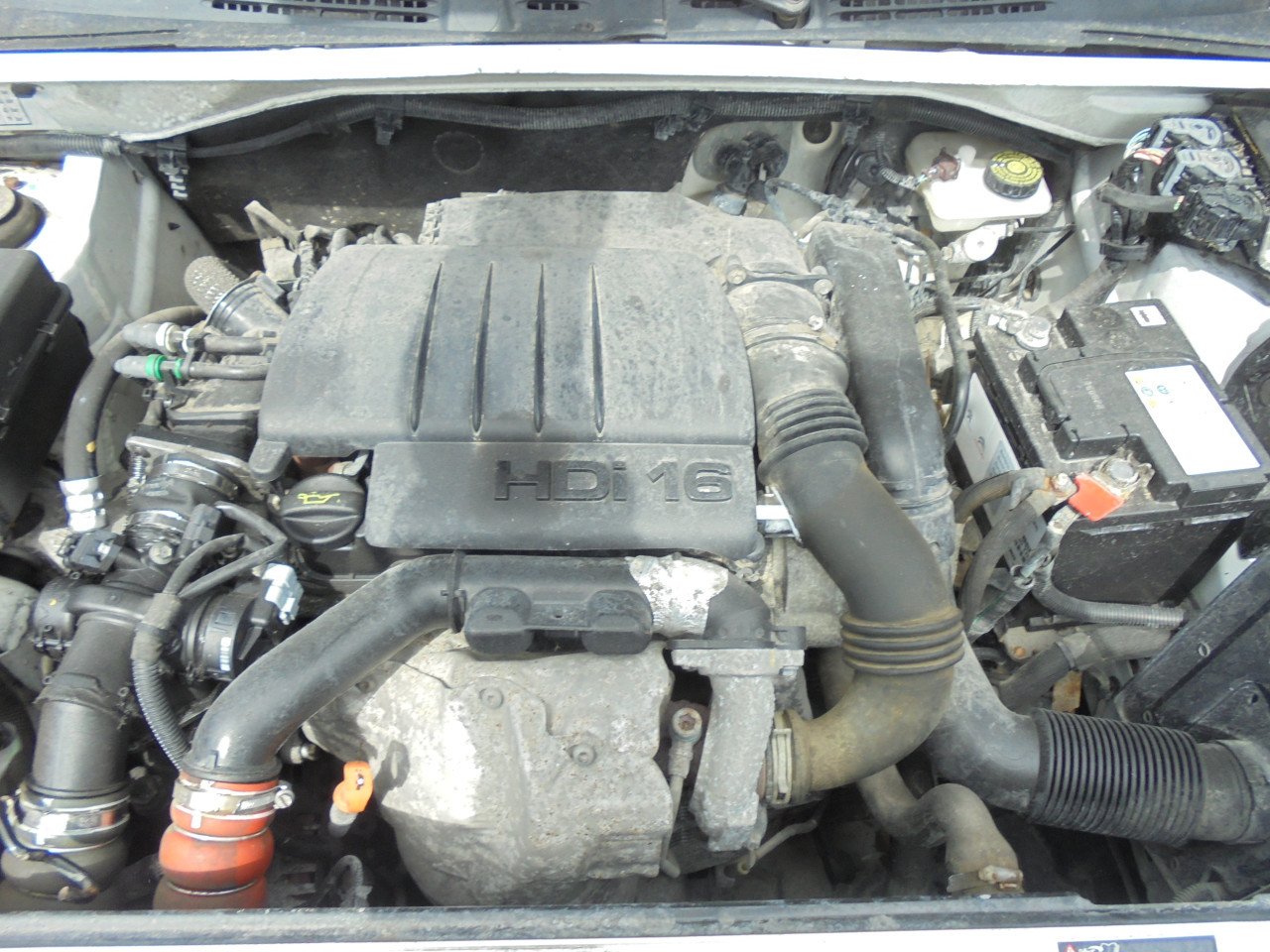 Berlingo 1.6 HDI 600 First uitvoering,Apk April 2026 eerste eigenaar
