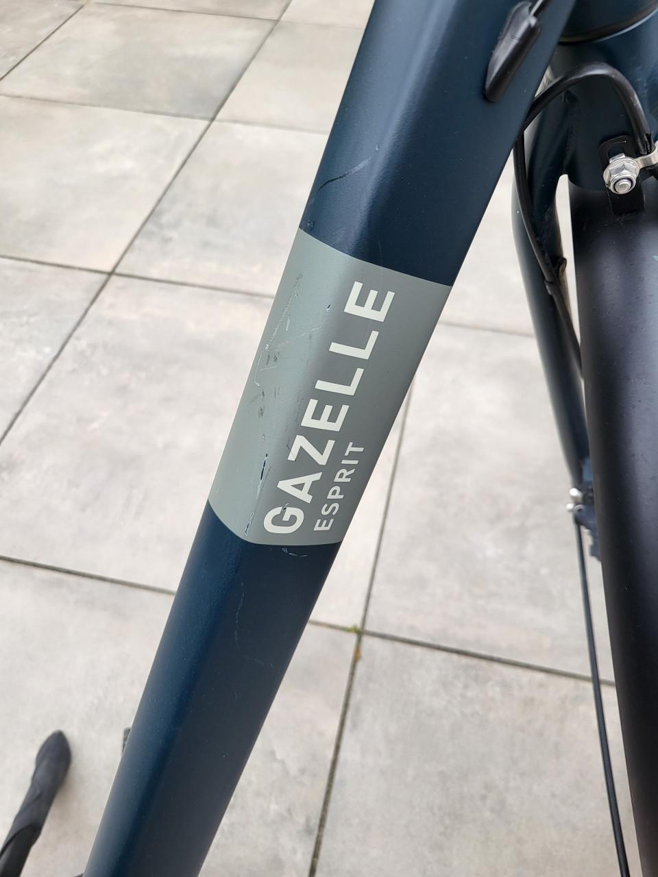 Herenfiets / jongensfiets Gazelle Esprit fiets met belt uit 2024
