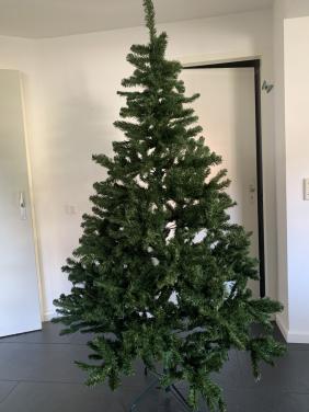 Kerstboom 2.15 m.  Intratuin