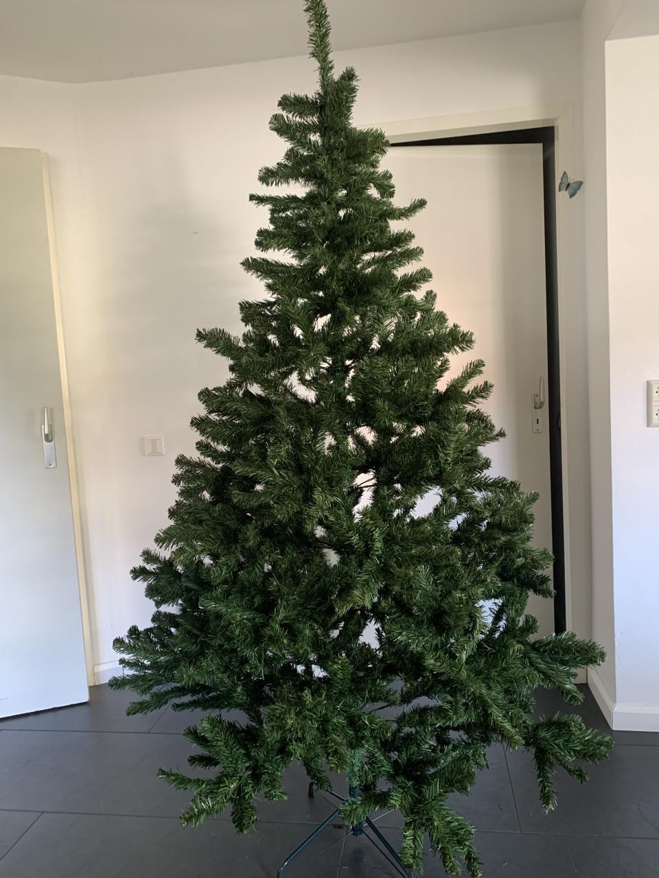 Kerstboom 2.15 m.  Intratuin