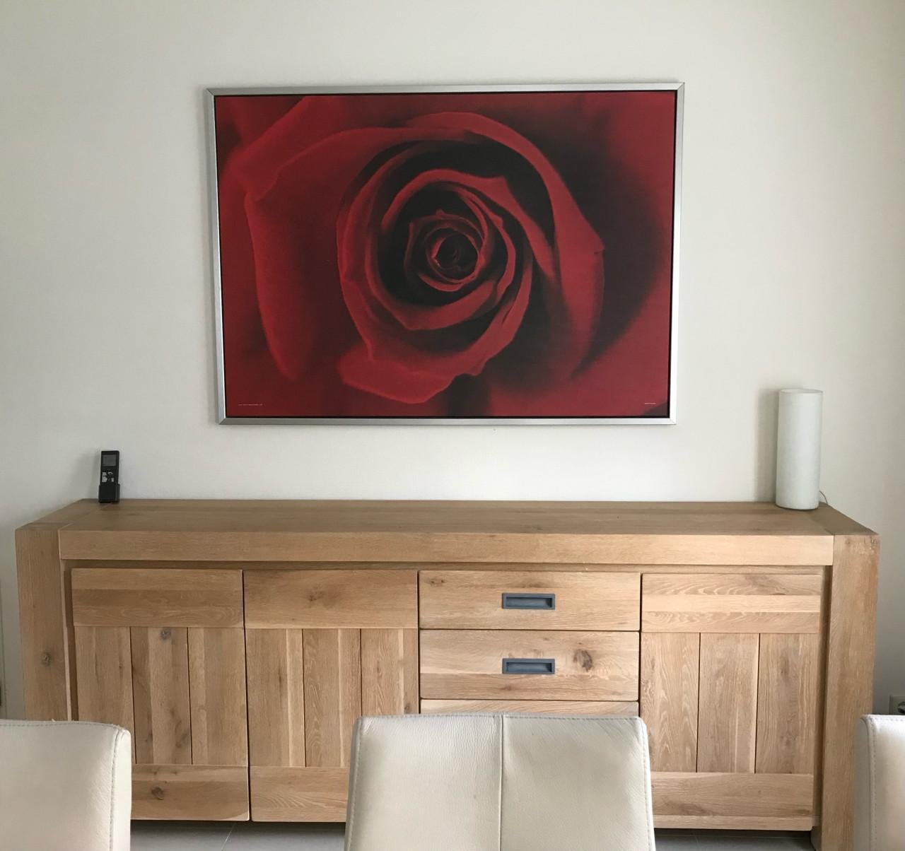 Ikea reproductie in aluminium lijst