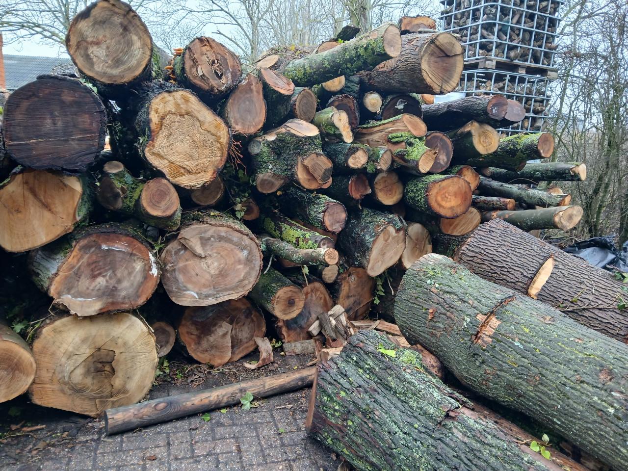 Haardhout brandhout kachelhout aanmaakhout stammen