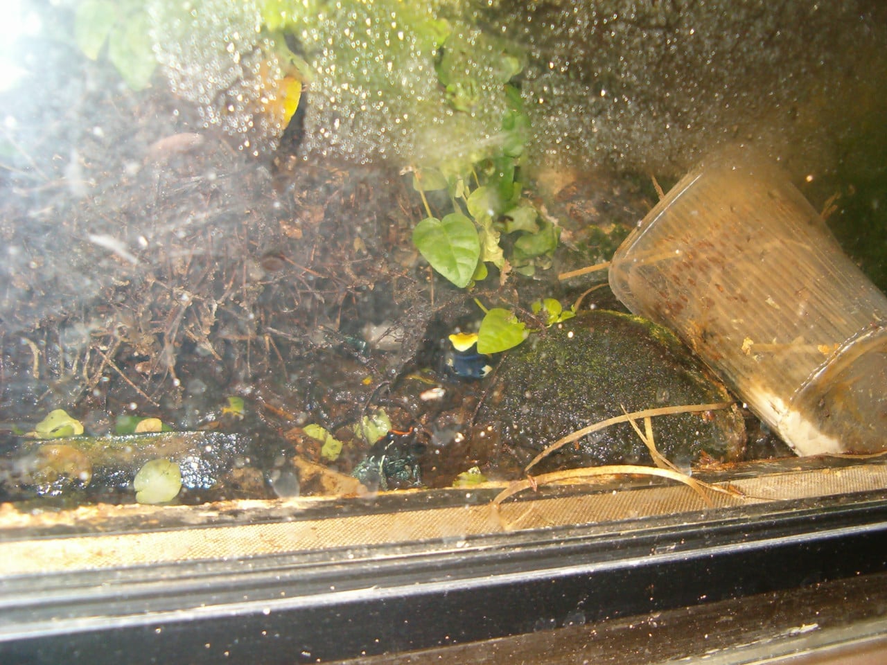 Terrarium L 86 cm Hoog 30 cm Diep 45 cm