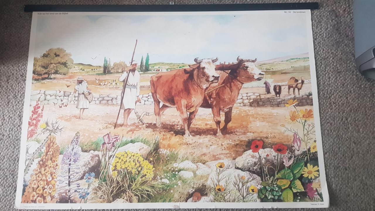 Koffer met18 bijbel schoolplaten