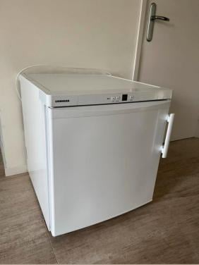 Te koop Liebherr diepvries 2 lades