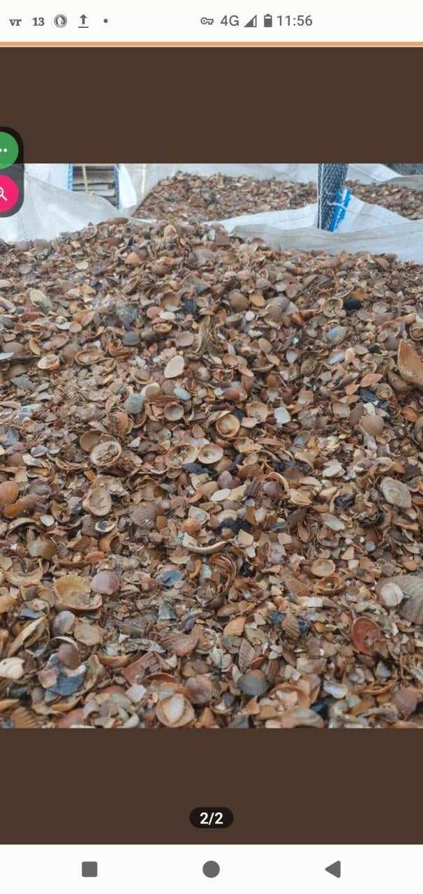 Bigbag schelpen, voor (tuin)pad, wegverharding, drainage.