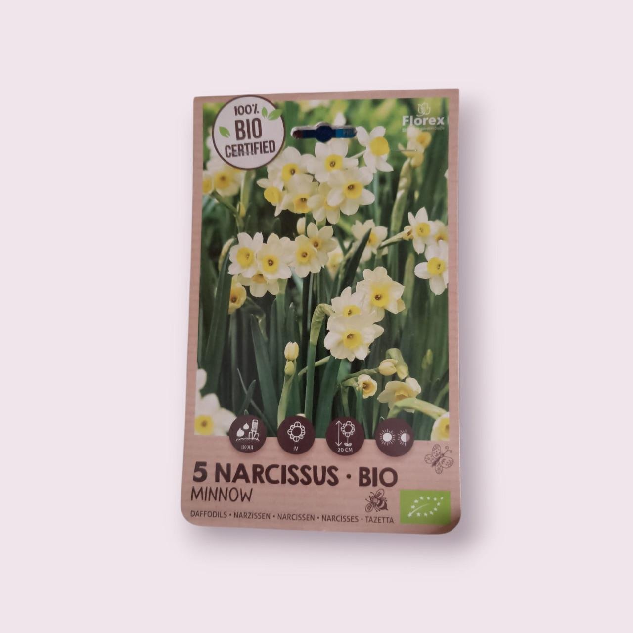 Bloembollen te koop nieuw in verpakking