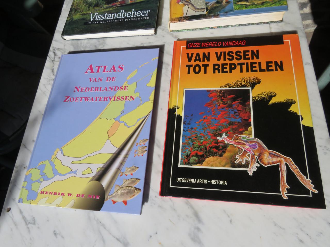4 vis boeken