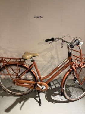 Gazelle Heavy Duty - D53 - Centerpoint fietsen Zierikzee