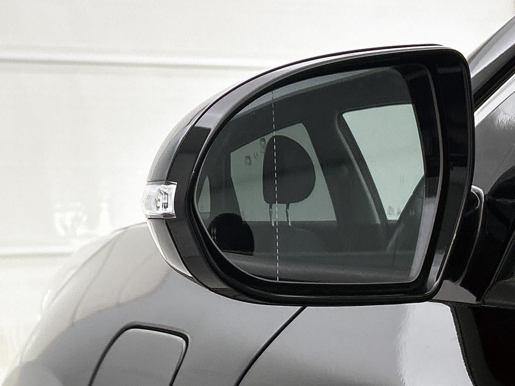 Kia Niro 1.6 gdi plug in hybrid executiveline | leder | camera | jbl sound 